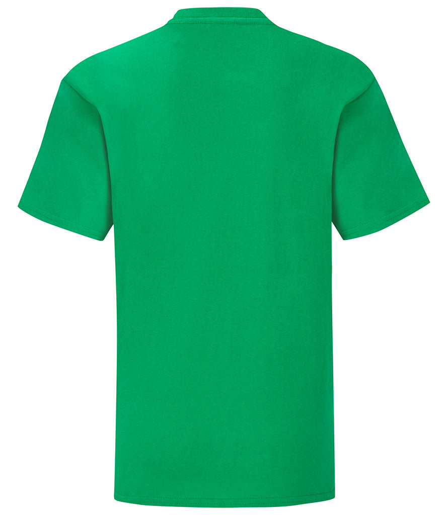Fruit of the Loom Girls Iconic 150 T-Shirt | Multicolor | For 3-15 Year Kids - Prime Apparel