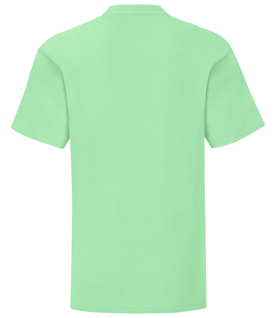 Fruit of the Loom Girls Iconic 150 T-Shirt | Multicolor | For 3-15 Year Kids - Prime Apparel
