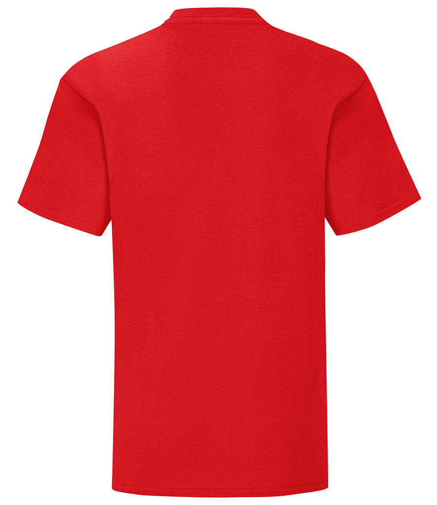 Fruit of the Loom Girls Iconic 150 T-Shirt | Multicolor | For 3-15 Year Kids - Prime Apparel