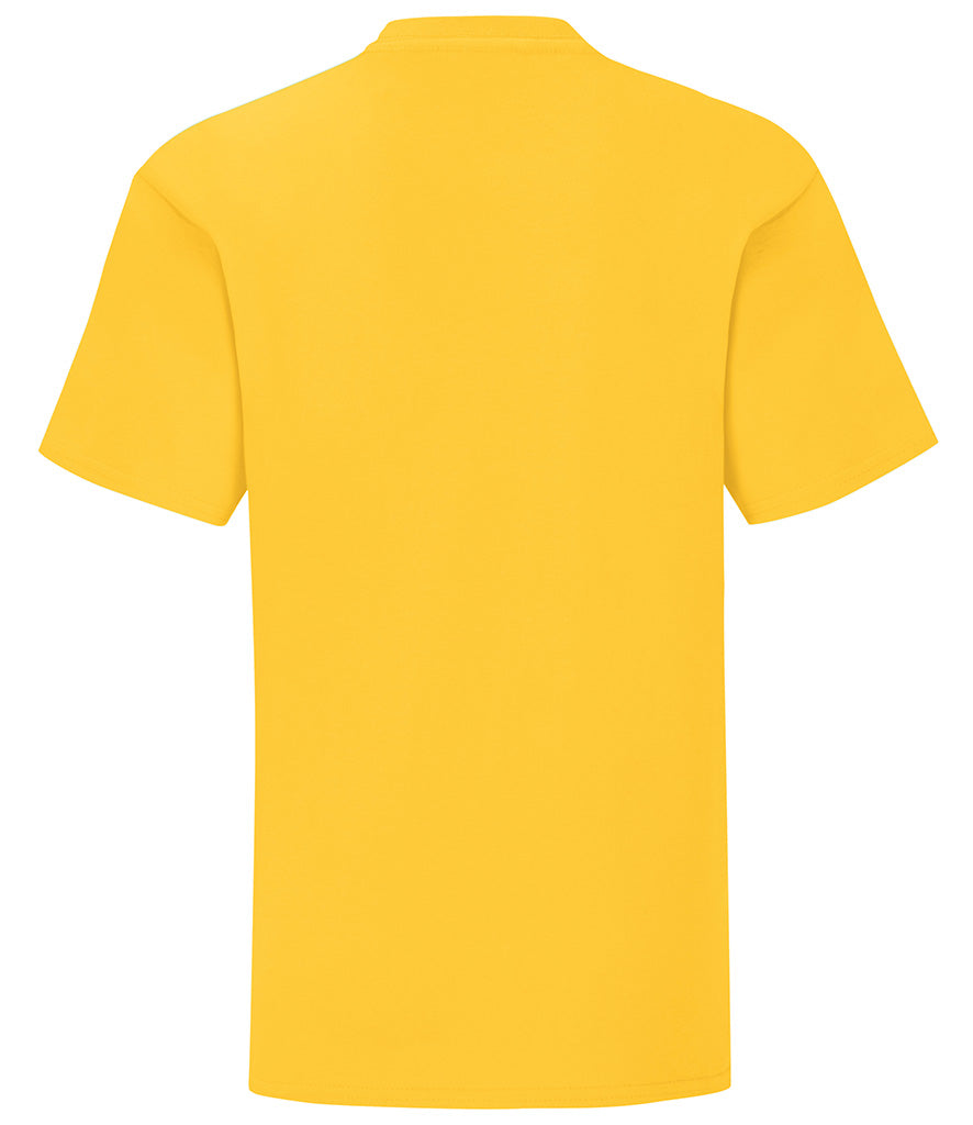 Fruit of the Loom Girls Iconic 150 T-Shirt | Multicolor | For 3-15 Year Kids - Prime Apparel